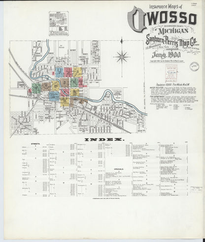 Sanborn Fire Insurance Map from Owosso, Shiawassee County, Michigan (1900), Sheet #0001 - Historic Sanborn Fire Insurance Map Print, vintage old map wall art, antique decor, genealogy gift, Michigan Michigan map