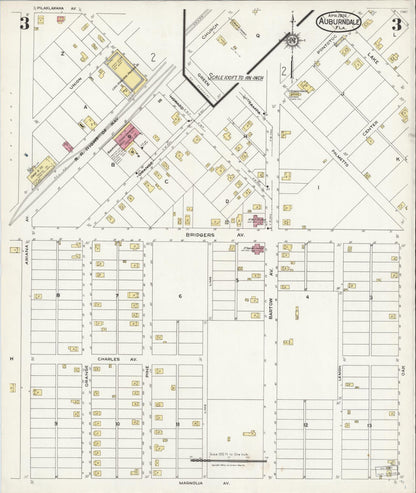 Sanborn Fire Insurance Map from Auburndale, Polk County, Florida (1924), Sheet #0003 - Complete Map Set gallery image, historic Sanborn map, vintage wall art, Florida Florida