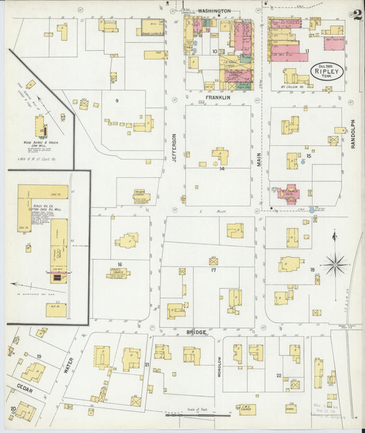 Sanborn Fire Insurance Map from Ripley, Lauderdale County, Tennessee (1900), Sheet #0002 - Historic Sanborn Fire Insurance Map Print, vintage old map wall art, antique decor, genealogy gift, Tennessee Tennessee map