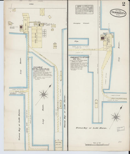 Sanborn Fire Insurance Map from Tawas City, Iosco County, Michigan (1884), Sheet #0002 - Historic Sanborn Fire Insurance Map Print, vintage old map wall art, antique decor, genealogy gift, Michigan Michigan map