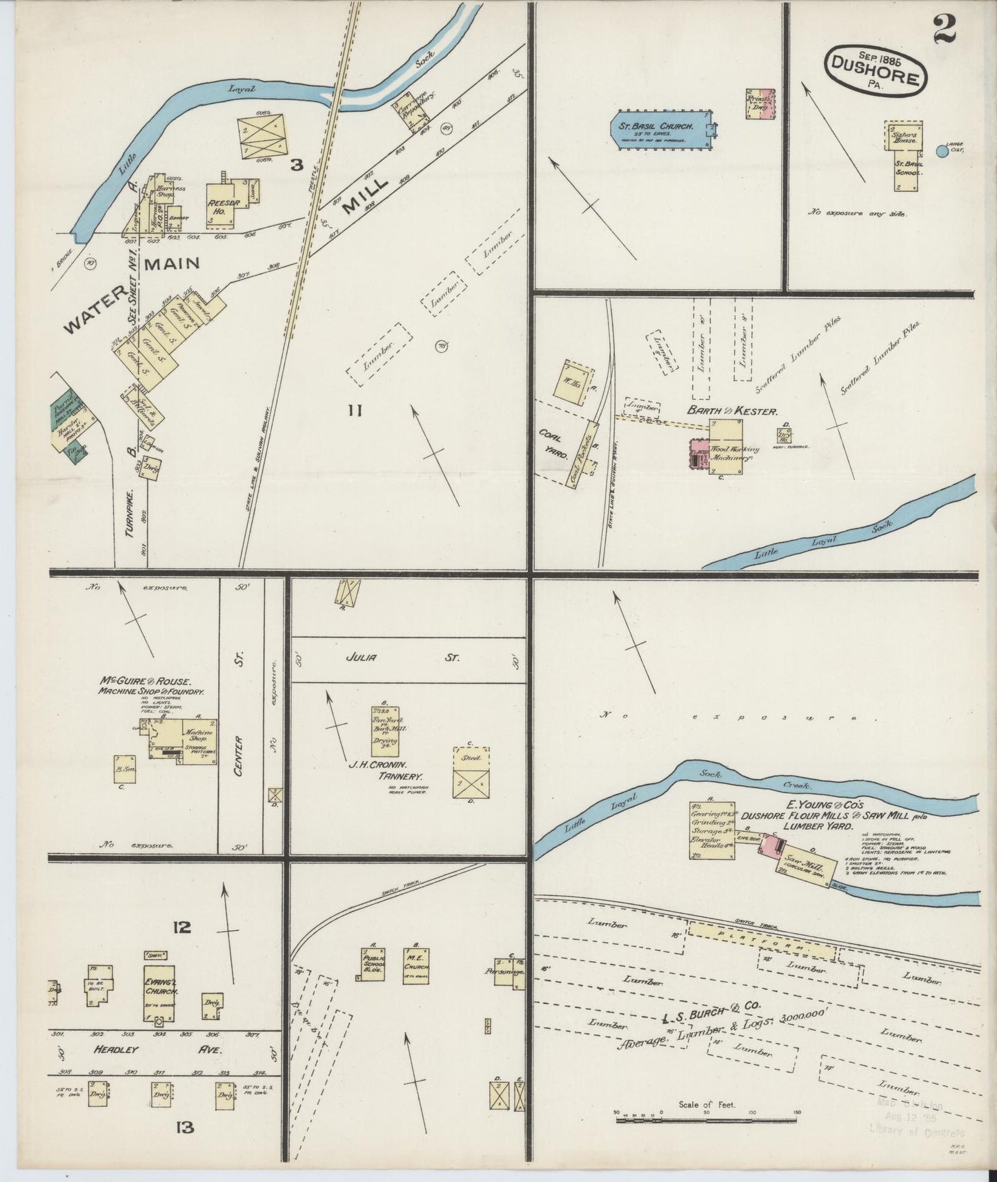 Sanborn Fire Insurance Map from Dushore, Sullivan County, Pennsylvania (1885), Sheet #0002 - Historic Sanborn Fire Insurance Map Print, vintage old map wall art, antique decor, genealogy gift, Pennsylvania Pennsylvania map