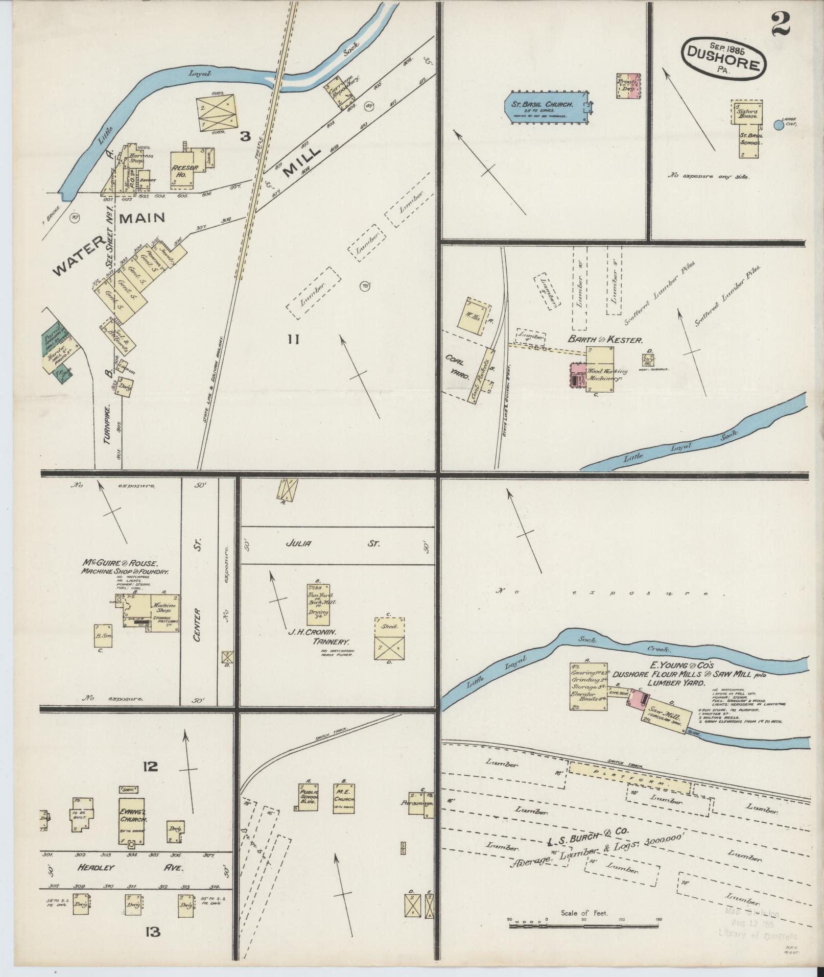 Sanborn Fire Insurance Map from Dushore, Sullivan County, Pennsylvania (1885), Sheet #0002 - Historic Sanborn Fire Insurance Map Print, vintage old map wall art, antique decor, genealogy gift, Pennsylvania Pennsylvania map