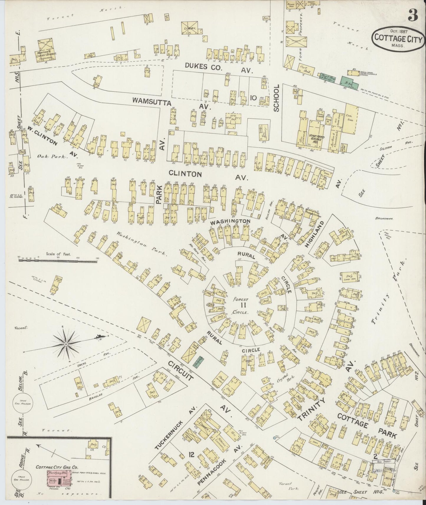 Sanborn Fire Insurance Map from Cottage City, Dukes County, Massachusetts (1887), Sheet #0003 - Historic Sanborn Fire Insurance Map Print, vintage old map wall art, antique decor, genealogy gift, Massachusetts Massachusetts map