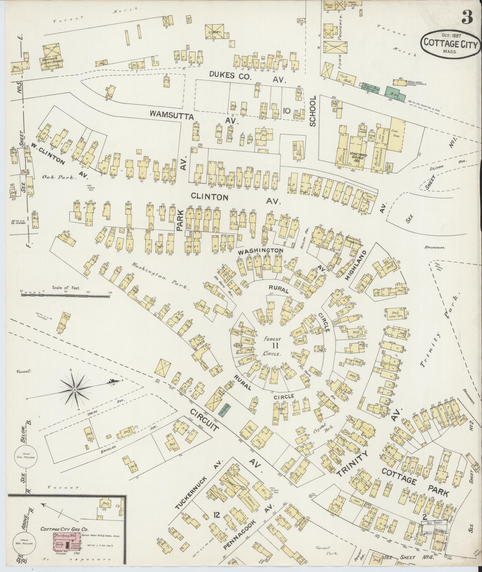 Sanborn Fire Insurance Map from Cottage City, Dukes County, Massachusetts (1887), Sheet #0003 - Historic Sanborn Fire Insurance Map Print, vintage old map wall art, antique decor, genealogy gift, Massachusetts Massachusetts map