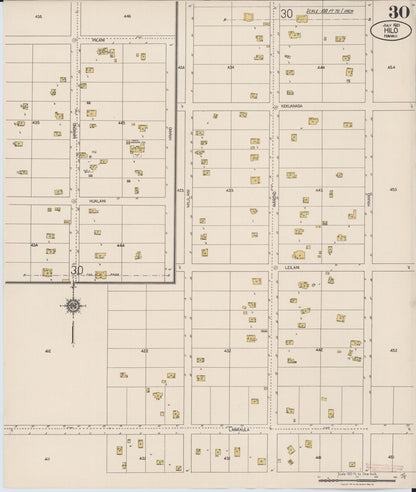 Sanborn Fire Insurance Map from Hilo, Hawaii County, Hawaii (1921), Sheet #0030 - Historic Sanborn Fire Insurance Map Print