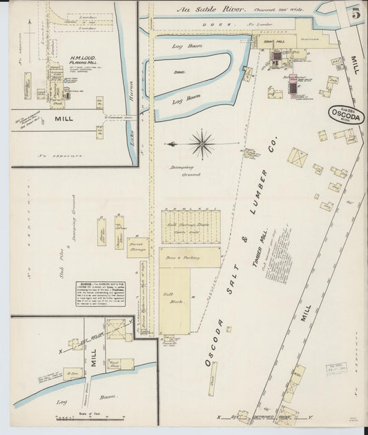 Sanborn Fire Insurance Map from Oscoda, Iosco County, Michigan (1884), Sheet #0005 - Historic Sanborn Fire Insurance Map Print, vintage old map wall art, antique decor, genealogy gift, Michigan Michigan map