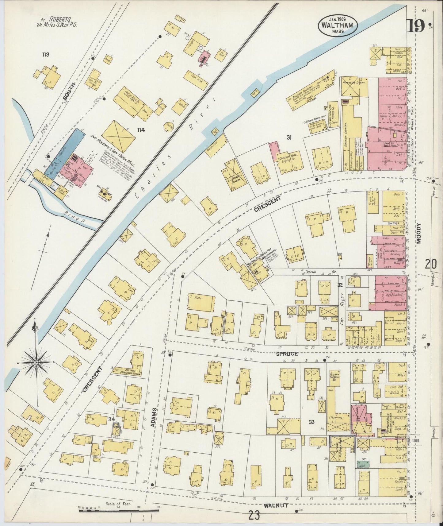 Sanborn Fire Insurance Map from Waltham, Middlesex County, Massachusetts (1903), Sheet #0019 - Historic Sanborn Fire Insurance Map Print, vintage old map wall art, antique decor, genealogy gift, Massachusetts Massachusetts map