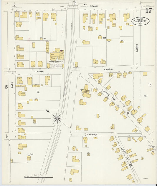Sanborn Fire Insurance Map from Salisbury, Rowan County, North Carolina (1907), Sheet #0017 - Historic Sanborn Fire Insurance Map Print, vintage old map wall art, antique decor, genealogy gift, North Carolina North Carolina map