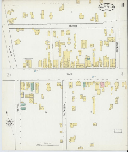 Sanborn Fire Insurance Map from Monticello, Sullivan County, New York (1892), Sheet #0003 - Historic Sanborn Fire Insurance Map Print, vintage old map wall art, antique decor, genealogy gift, New York New York map
