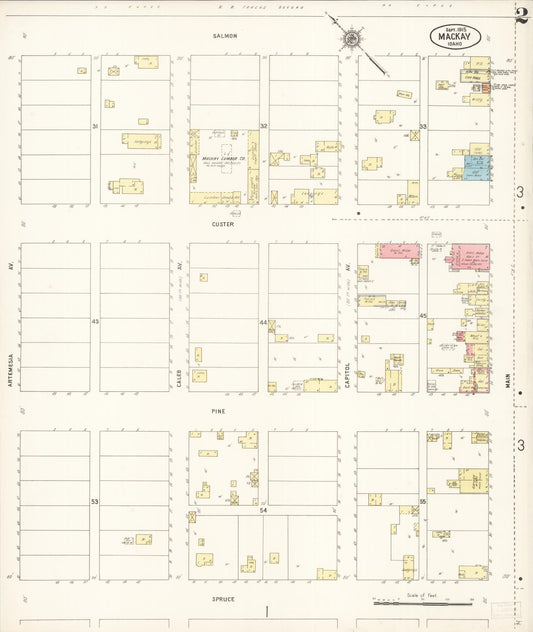 Sanborn Fire Insurance Map from Mackay, Custer County, Idaho (1915), Sheet #0002 - Historic Sanborn Fire Insurance Map Print, vintage old map wall art, antique decor, genealogy gift, Idaho Idaho map