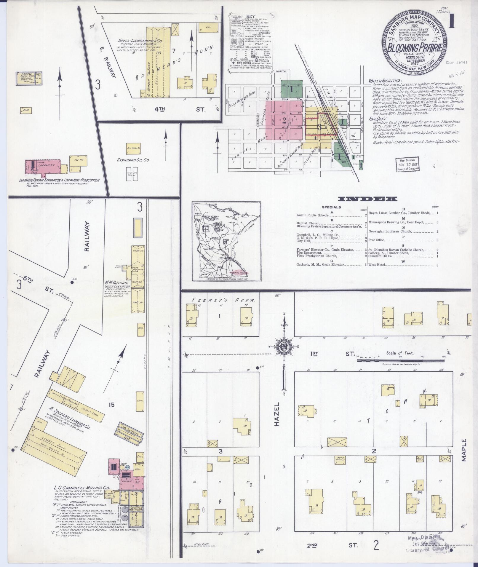 Sanborn Fire Insurance Map from Blooming Prairie, Steele County, Minnesota (1917), Sheet #0001 - Historic Sanborn Fire Insurance Map Print, vintage old map wall art, antique decor, genealogy gift, Minnesota Minnesota map