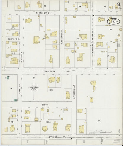 Sanborn Fire Insurance Map from Ocala, Marion County, Florida (1895), Sheet #0009 - Historic Sanborn Fire Insurance Map Print, vintage old map wall art, antique decor, genealogy gift, Florida Florida map
