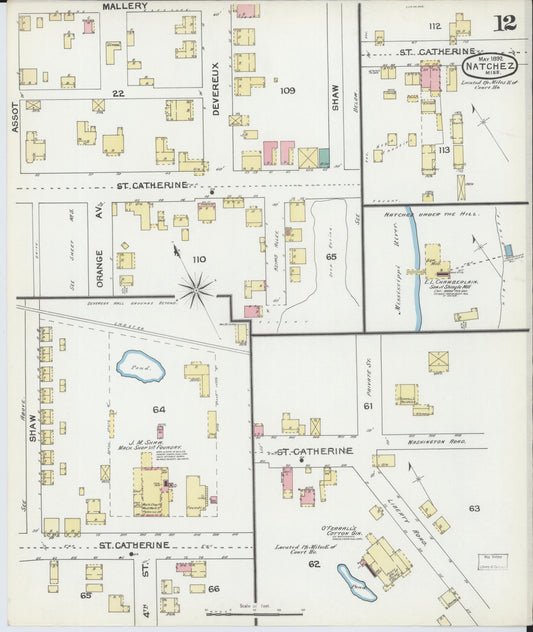 Sanborn Fire Insurance Map from Natchez, Adams County, Mississippi (1892), Sheet #0012 - Historic Sanborn Fire Insurance Map Print, vintage old map wall art, antique decor, genealogy gift, Mississippi Mississippi map