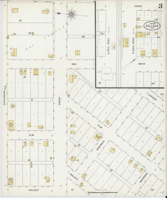 Sanborn Fire Insurance Map from Sallisaw, Sequoyah County, Oklahoma (1899), Sheet #0003 - Historic Sanborn Fire Insurance Map Print, vintage old map wall art, antique decor, genealogy gift, Oklahoma Oklahoma map
