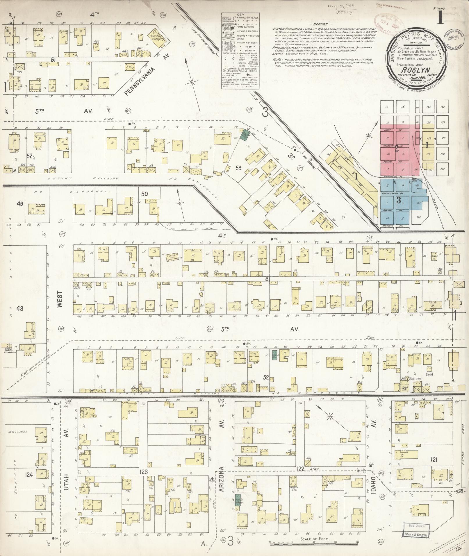 Sanborn Fire Insurance Map from Roslyn, Kittitas County, Washington (1899), Sheet #0001 - Historic Sanborn Fire Insurance Map Print, vintage old map wall art, antique decor, genealogy gift, Washington Washington map