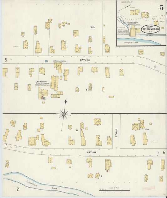 Sanborn Fire Insurance Map from Trumansburg, Tompkins County, New York (1905), Sheet #0005 - Historic Sanborn Fire Insurance Map Print, vintage old map wall art, antique decor, genealogy gift, New York New York map