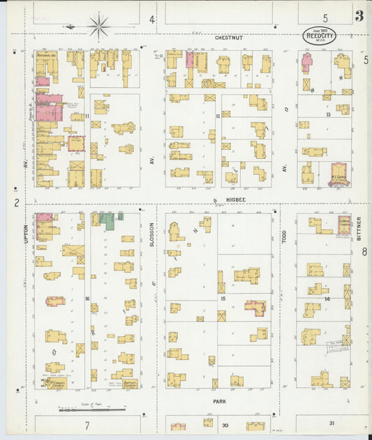 Sanborn Fire Insurance Map from Reed City, Osceola County, Michigan (1900), Sheet #0003 - Historic Sanborn Fire Insurance Map Print, vintage old map wall art, antique decor, genealogy gift, Michigan Michigan map