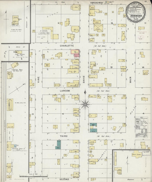 Sanborn Fire Insurance Map from Hammond, St. Croix County, Wisconsin (1895), Sheet #0001 - Historic Sanborn Fire Insurance Map Print, vintage old map wall art, antique decor, genealogy gift, Wisconsin Wisconsin map