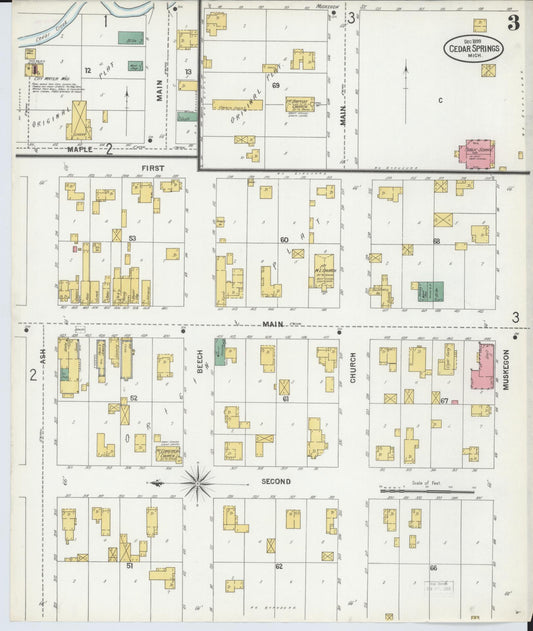 Sanborn Fire Insurance Map from Cedar Springs, Kent County, Michigan (1899), Sheet #0003 - Historic Sanborn Fire Insurance Map Print, vintage old map wall art, antique decor, genealogy gift, Michigan Michigan map