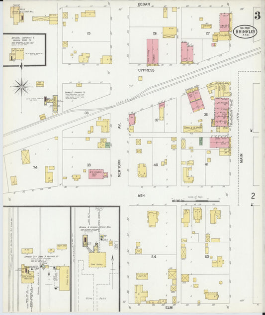Sanborn Fire Insurance Map from Brinkley, Monroe County, Arkansas (1900), Sheet #0003 - Historic Sanborn Fire Insurance Map Print, vintage old map wall art, antique decor, genealogy gift, Arkansas Arkansas map