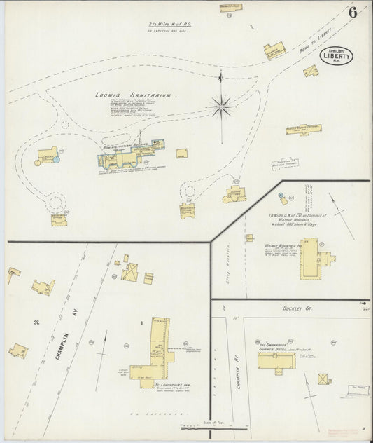 Sanborn Fire Insurance Map from Liberty, Sullivan County, New York (1897), Sheet #0006 - Historic Sanborn Fire Insurance Map Print, vintage old map wall art, antique decor, genealogy gift, New York New York map