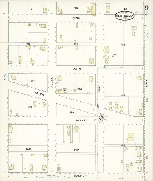 Sanborn Fire Insurance Map from Centralia, Lewis County, Washington (1891), Sheet #0009 - Historic Sanborn Fire Insurance Map Print, vintage old map wall art, antique decor, genealogy gift, Washington Washington map