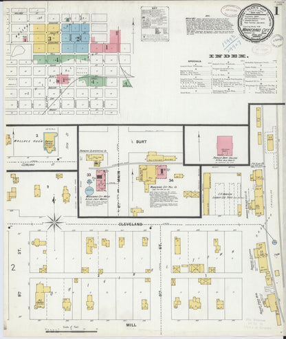 Sanborn Fire Insurance Map from Winnebago, Faribault County, Minnesota (1899), Sheet #0001 - Historic Sanborn Fire Insurance Map Print, vintage old map wall art, antique decor, genealogy gift, Minnesota Minnesota map