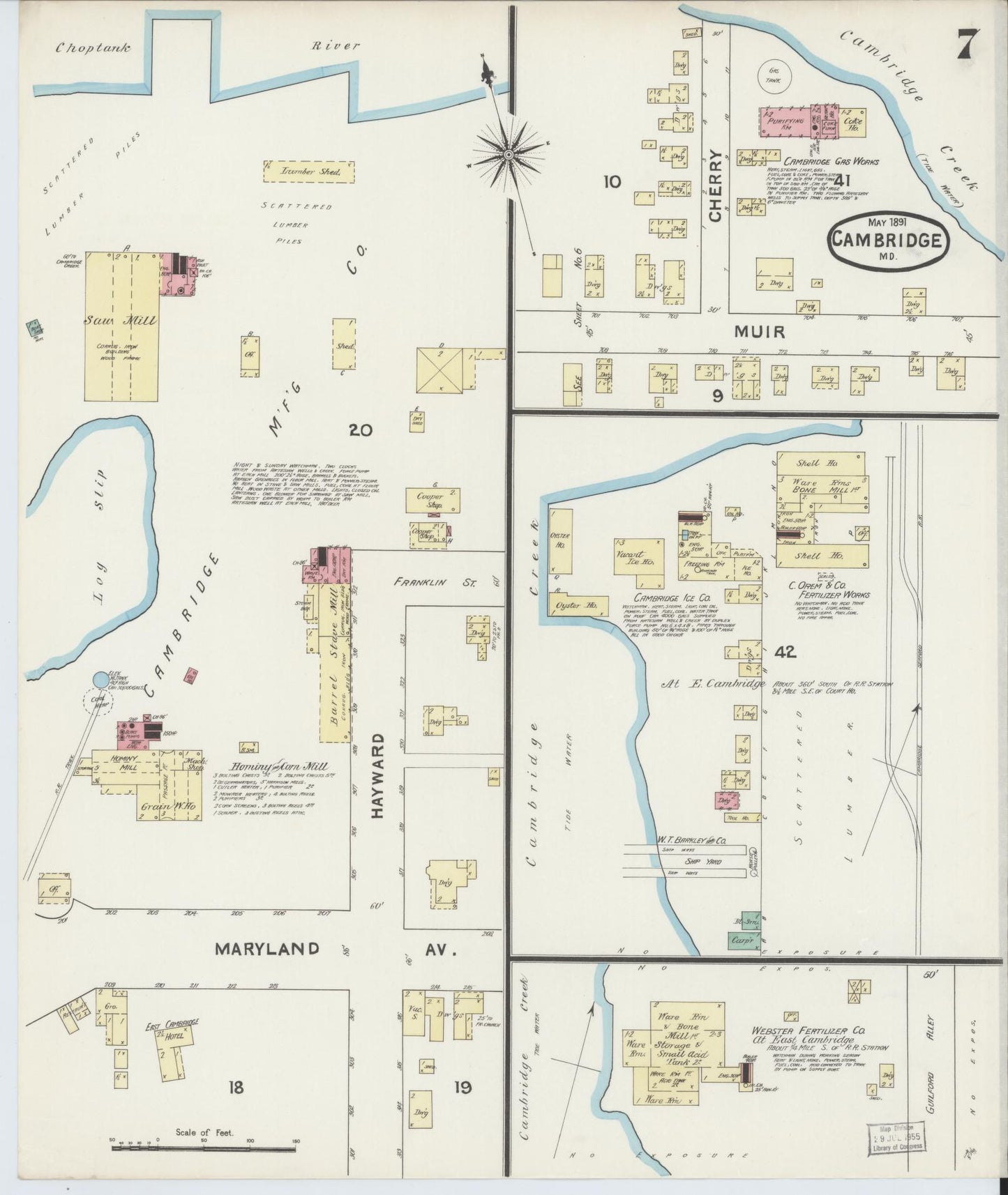 Sanborn Fire Insurance Map from Cambridge, Dorchester County, Maryland (1891), Sheet #0007 - Historic Sanborn Fire Insurance Map Print, vintage old map wall art, antique decor, genealogy gift, Maryland Maryland map