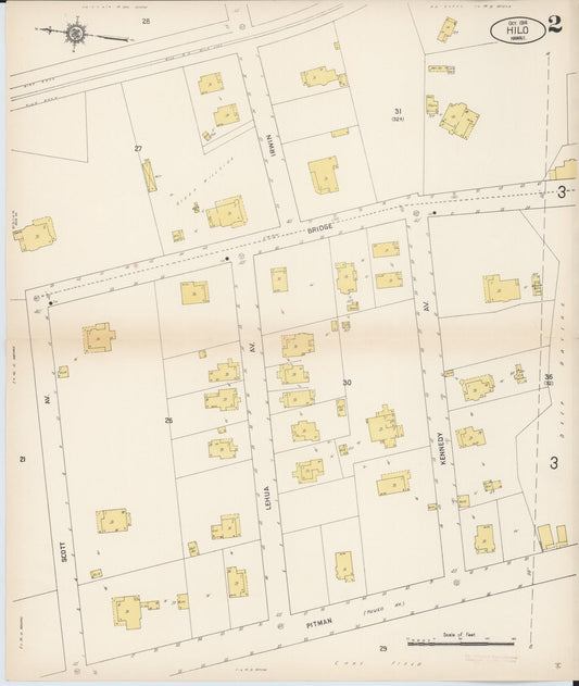 Sanborn Fire Insurance Map from Hilo, Hawaii County, Hawaii (1914), Sheet #0002 - Historic Sanborn Fire Insurance Map Print, vintage old map wall art