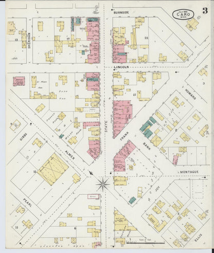 Sanborn Fire Insurance Map from Caro, Tuscola County, Michigan (1895), Sheet #0003 - Historic Sanborn Fire Insurance Map Print, vintage old map wall art, antique decor, genealogy gift, Michigan Michigan map