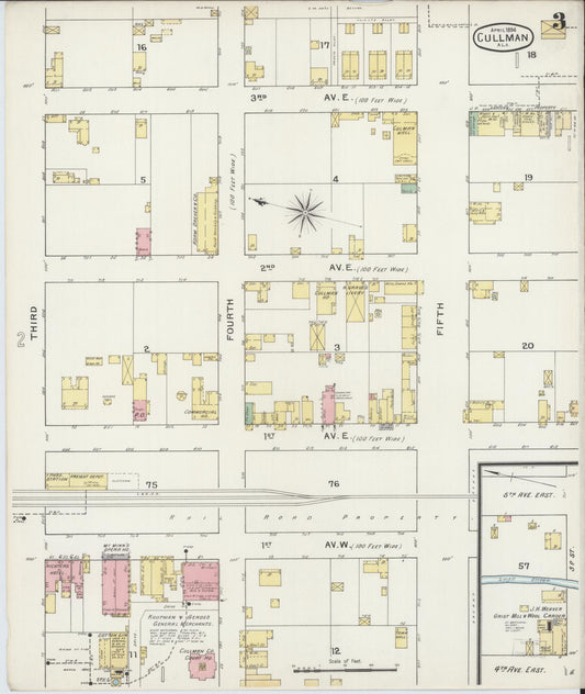 Sanborn Fire Insurance Map from Cullman, Cullman County, Alabama (1894), Sheet #0003 - Historic Sanborn Fire Insurance Map Print, vintage old map wall art, antique decor, genealogy gift, Alabama Alabama map