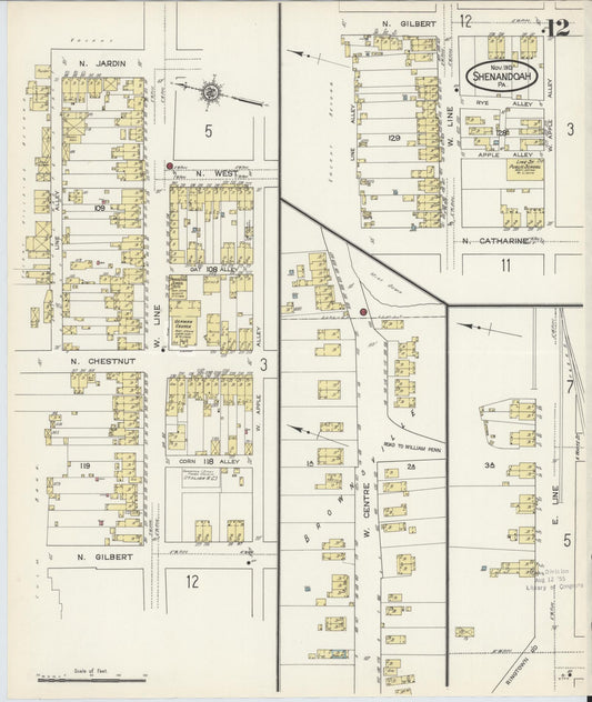 Sanborn Fire Insurance Map from Shenandoah, Schuylkill County, Pennsylvania (1913), Sheet #0012 - Historic Sanborn Fire Insurance Map Print, vintage old map wall art, antique decor, genealogy gift, Pennsylvania Pennsylvania map