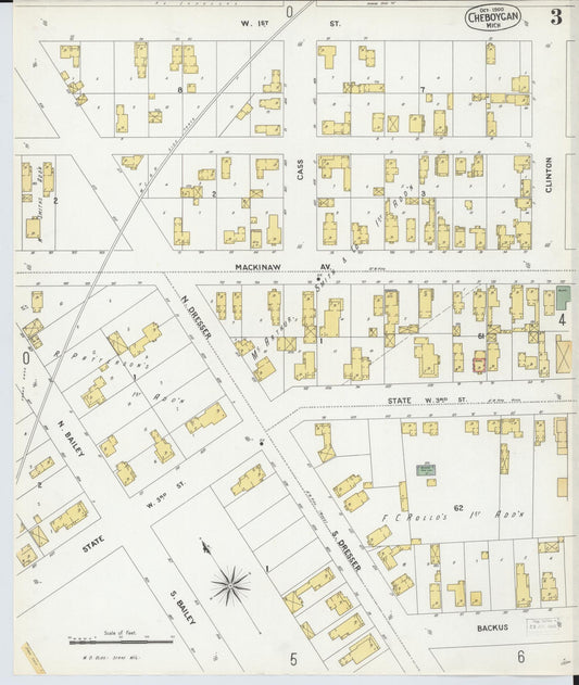 Sanborn Fire Insurance Map from Cheboygan, Cheboygan County, Michigan (1900), Sheet #0003 - Historic Sanborn Fire Insurance Map Print, vintage old map wall art, antique decor, genealogy gift, Michigan Michigan map
