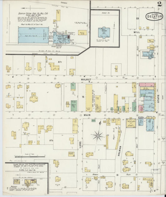 Sanborn Fire Insurance Map from Decatur, Wise County, Texas (1896), Sheet #0002 - Historic Sanborn Fire Insurance Map Print, vintage old map wall art, antique decor, genealogy gift, Texas Texas map