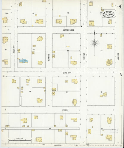 Sanborn Fire Insurance Map from Coleman, Coleman County, Texas (1904), Sheet #0004 - Complete Map Set gallery image, historic Sanborn map, vintage wall art, Texas Texas