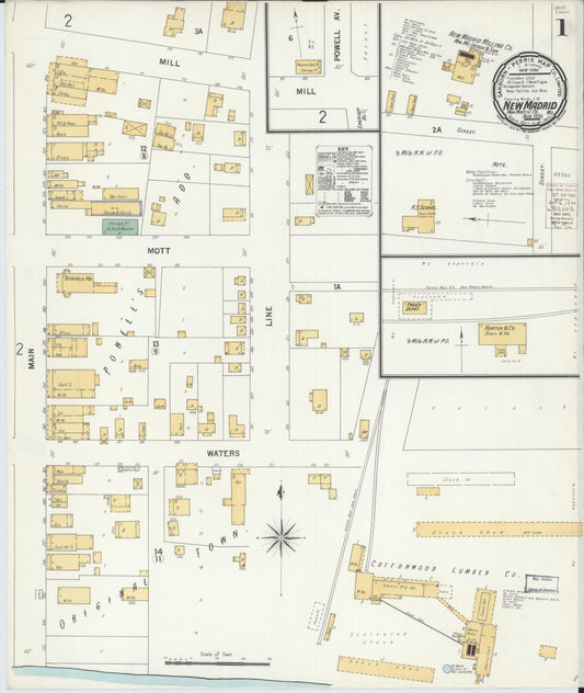 Sanborn Fire Insurance Map from New Madrid, New Madrid County, Missouri (1900), Sheet #0001 - Historic Sanborn Fire Insurance Map Print, vintage old map wall art, antique decor, genealogy gift, Missouri Missouri map