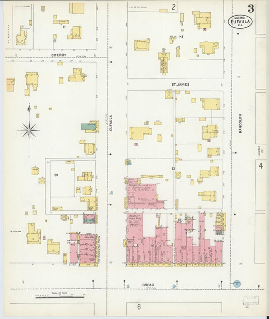 Sanborn Fire Insurance Map from Eufaula, Barbour County, Alabama (1903), Sheet #0003 - Historic Sanborn Fire Insurance Map Print, vintage old map wall art, antique decor, genealogy gift, Alabama Alabama map