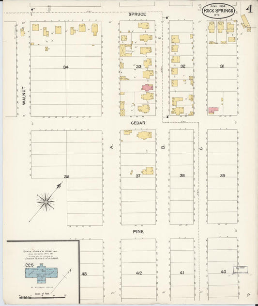 Sanborn Fire Insurance Map from Rock Springs, Sweetwater County, Wyoming (1894), Sheet #0004 - Historic Sanborn Fire Insurance Map Print, vintage old map wall art, antique decor, genealogy gift, Wyoming Wyoming map