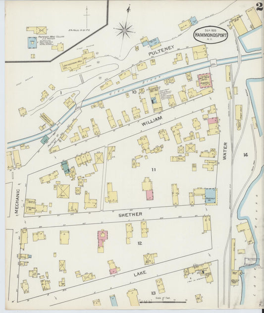 Sanborn Fire Insurance Map from Hammondsport, Steuben County, New York (1893), Sheet #0002 - Historic Sanborn Fire Insurance Map Print, vintage old map wall art, antique decor, genealogy gift, New York New York map