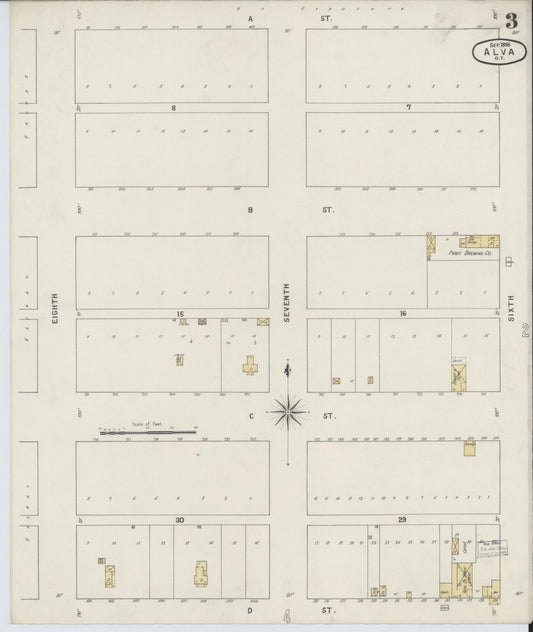 Sanborn Fire Insurance Map from Alva, Woods County, Oklahoma (1895), Sheet #0003 - Historic Sanborn Fire Insurance Map Print, vintage old map wall art, antique decor, genealogy gift, Oklahoma Oklahoma map