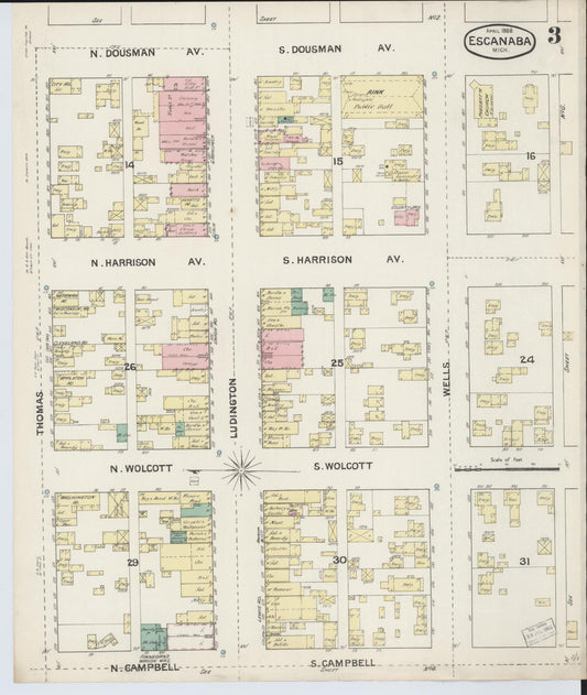 Sanborn Fire Insurance Map from Escanaba, Delta County, Michigan (1888), Sheet #0003 - Historic Sanborn Fire Insurance Map Print, vintage old map wall art, antique decor, genealogy gift, Michigan Michigan map
