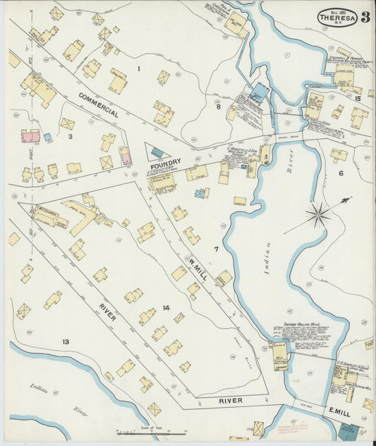 Sanborn Fire Insurance Map from Theresa, Jefferson County, New York (1891), Sheet #0003 - Historic Sanborn Fire Insurance Map Print, vintage old map wall art, antique decor, genealogy gift, New York New York map