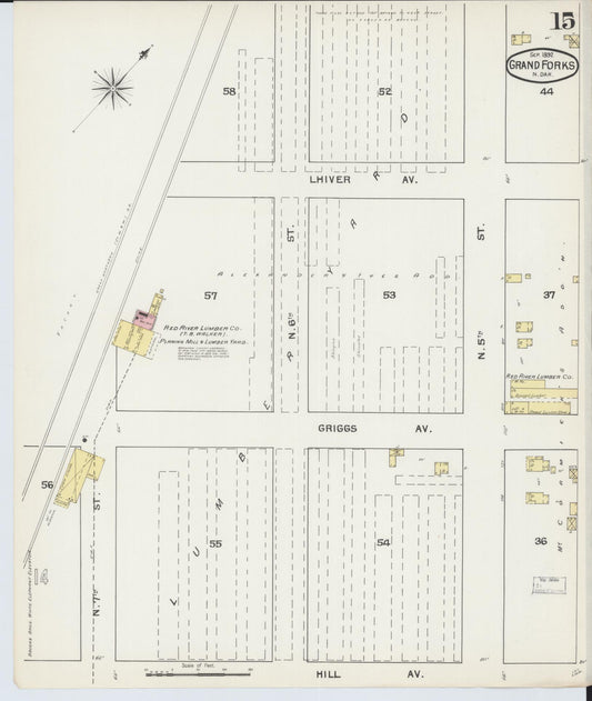 Sanborn Fire Insurance Map from Grand Forks, Grand Forks County, North Dakota (1892), Sheet #0015 - Historic Sanborn Fire Insurance Map Print, vintage old map wall art, antique decor, genealogy gift, North Dakota North Dakota map