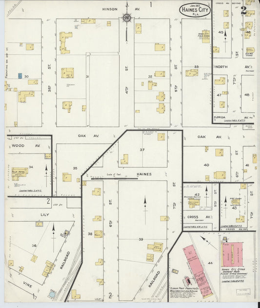 Sanborn Fire Insurance Map from Haines City, Polk County, Florida (1917), Sheet #0002 - Historic Sanborn Fire Insurance Map Print, vintage old map wall art, antique decor, genealogy gift, Florida Florida map