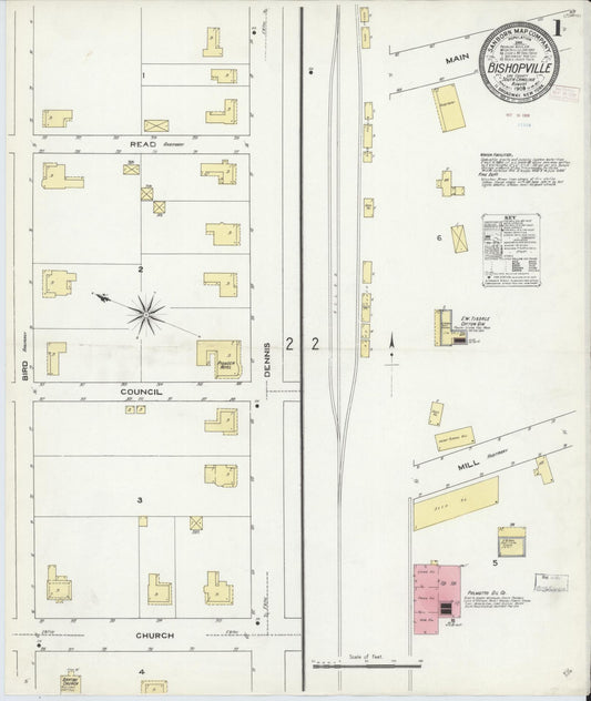 Sanborn Fire Insurance Map from Bishopville, Lee County, South Carolina. (1909) – Historic Sanborn Fire Insurance Map Print