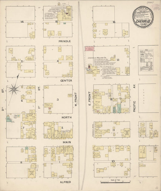Sanborn Fire Insurance Map from Chehalis, Lewis County, Washington (1890), Sheet #0001 - Historic Sanborn Fire Insurance Map Print, vintage old map wall art, antique decor, genealogy gift, Washington Washington map