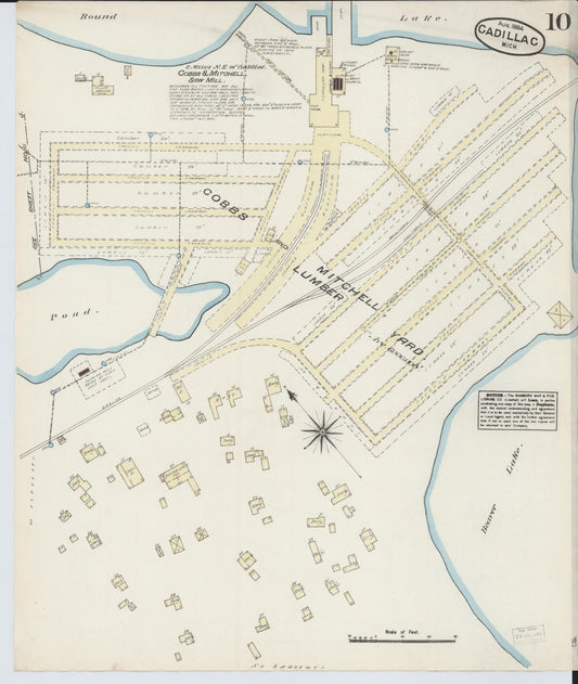 Sanborn Fire Insurance Map from Cadillac, Wexford County, Michigan (1884), Sheet #0010 - Historic Sanborn Fire Insurance Map Print, vintage old map wall art, antique decor, genealogy gift, Michigan Michigan map