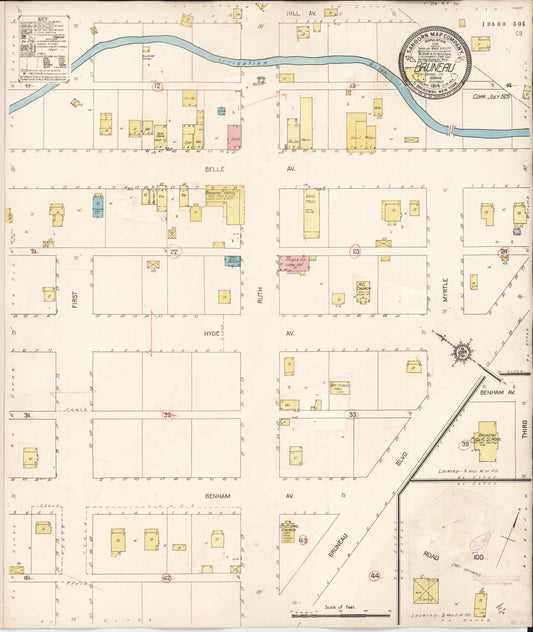 Sanborn Fire Insurance Map from Bruneau, Owyhee County, Idaho (1928), Sheet #0001 - Historic Sanborn Fire Insurance Map Print, vintage old map wall art, antique decor, genealogy gift, Idaho Idaho map