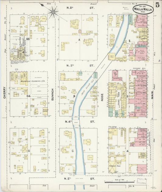 Sanborn Fire Insurance Map from Walla Walla, Walla Walla County, Washington (1890), Sheet #0005 - Historic Sanborn Fire Insurance Map Print, vintage old map wall art, antique decor, genealogy gift, Washington Washington map
