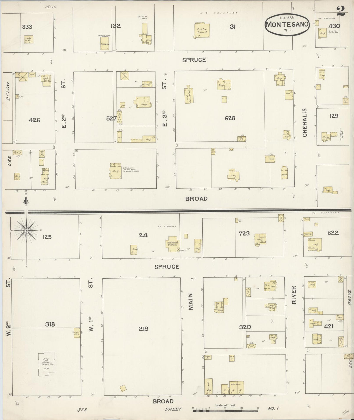 Sanborn Fire Insurance Map from Montesano, Grays Harbor County, Washington (1889), Sheet #0002 - Historic Sanborn Fire Insurance Map Print, vintage old map wall art, antique decor, genealogy gift, Washington Washington map